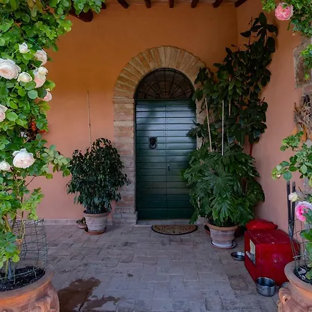 Pino Cedro 3* Avigliano Umbro