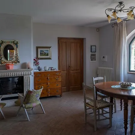 Pino Cedro Avigliano Umbro