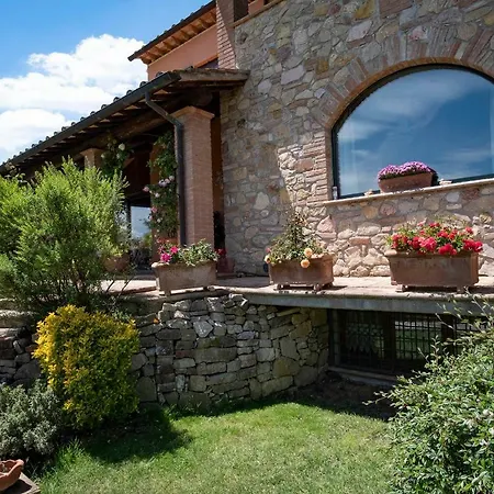 Pino Cedro *