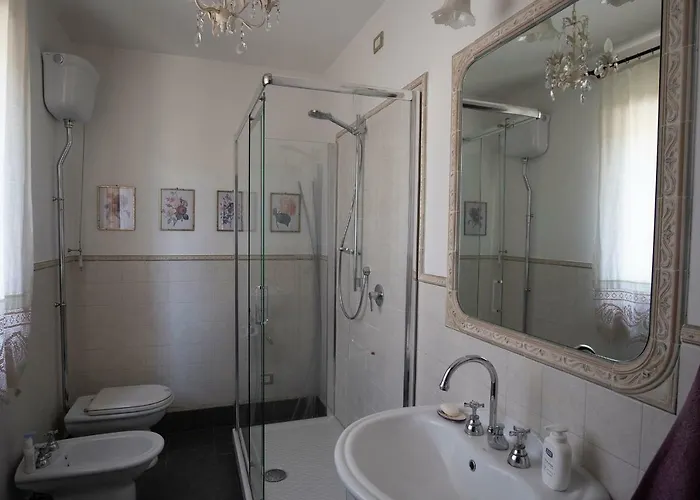 Pino Cedro Avigliano Umbro